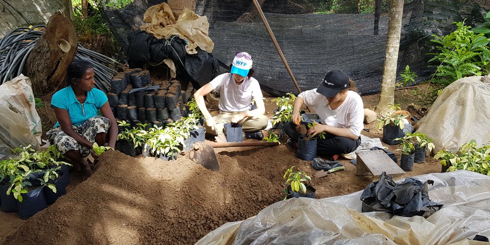 Self Expedition - 2025/16/AP – 02 - Anuradhapura - October 07 green volunteers anuradhapura (1)