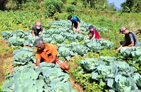 Home greenvolunteers events (14)