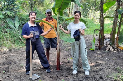 Home greenvolunteers events (16)