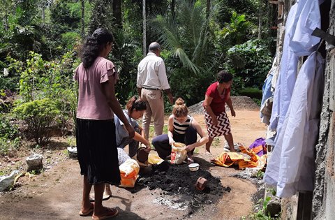 Home greenvolunteers events (3)