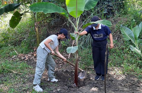 Home greenvolunteers events (5)