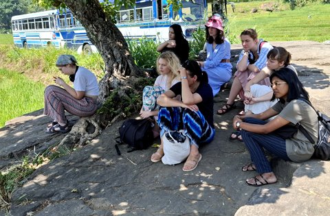 Home greenvolunteers events (7)